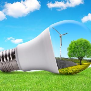 Energy Efficiency v. Energy Conservation